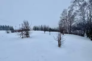 1398 4th St NW, Baudette, MN 56623 - Photo 53