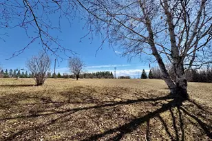 1398 4th St NW, Baudette, MN 56623 - Photo 37