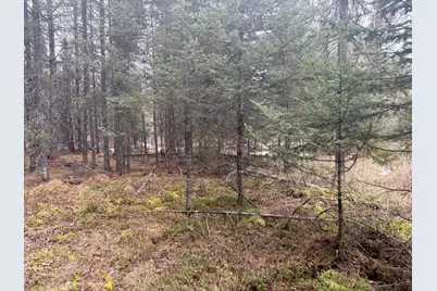 Tbd Three Bridges Rd., Cook, MN 55723 - Photo 31