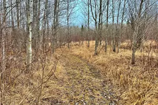 9298 Hingeley Rd, Meadowlands, MN 55765 - Photo 23