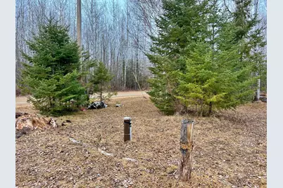 9298 Hingeley Road, Meadowlands, MN 55765 - Photo 29