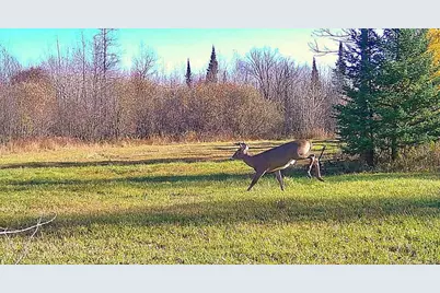 9298 Hingeley Road, Meadowlands, MN 55765 - Photo 33