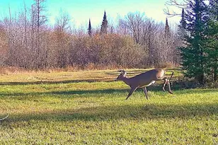 9298 Hingeley Rd, Meadowlands, MN 55765 - Photo 33