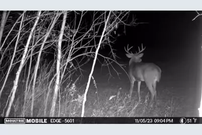 2022 Dixon Line Road, Finlayson, MN 55735 - Photo 7