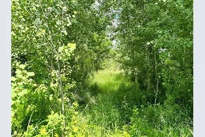 2022 Dixon Line Road, Finlayson, MN 55735 - Photo 47