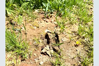 2022 Dixon Line Road, Finlayson, MN 55735 - Photo 31