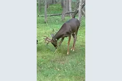 31767 Deacons Way, Pequot Lakes, MN 56472 - Photo 13