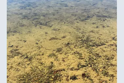 35817 Moraine Drive, Cushing, MN 56443 - Photo 15