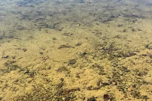 35817 Moraine Dr, Cushing, MN 56443 - Photo 15