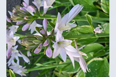 35851 442nd Lane, Aitkin, MN 56431 - Photo 33