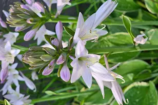 35851 442nd Ln, Aitkin, MN 56431 - Photo 33