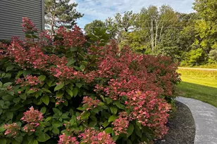 24525 112th St NW, Zimmerman, MN 55398 - Photo 39