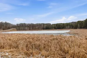 24525 112th St NW, Zimmerman, MN 55398 - Photo 43