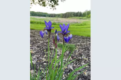 24525 112th Street NW, Zimmerman, MN 55398 - Photo 37
