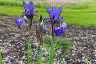 24525 112th St NW, Zimmerman, MN 55398 - Photo 37