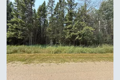 Tbd 40 Acres Sunflower, Kelliher, MN 56650 - Photo 3