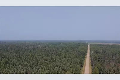 Tbd 40 Acres Sunflower, Kelliher, MN 56650 - Photo 11