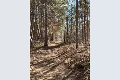 5060 County Road B, La Follette Township, WI 54837 - Photo 13