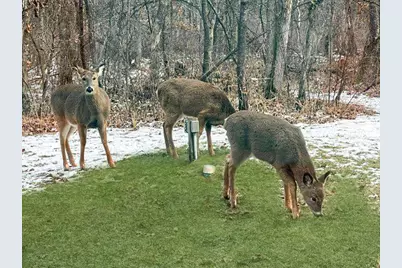 33843 Dancing Bear Drive, Crosslake, MN 56442 - Photo 37