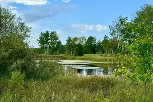 59923 Co Rd 261, Bigfork, MN 56628 - Photo 15