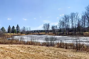 59923 Co Rd 261, Bigfork, MN 56628 - Photo 13