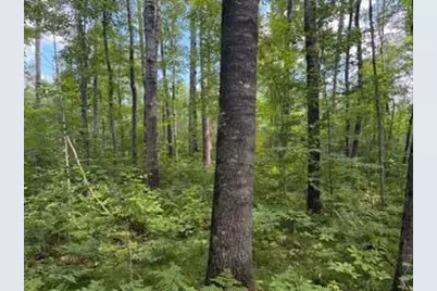 64838 Kingsdale Road, Sandstone, MN 55072 - Photo 15