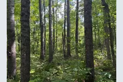 64838 Kingsdale Road, Sandstone, MN 55072 - Photo 13