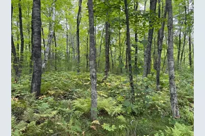 64838 Kingsdale Road, Sandstone, MN 55072 - Photo 17