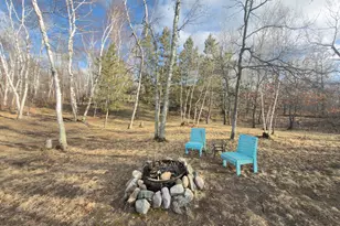 21500 Hedgerow Ln, Nevis, MN 56467 - Photo 27