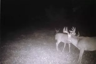 S2901 Semling Ln, Fountain City, WI 54629 - Photo 53