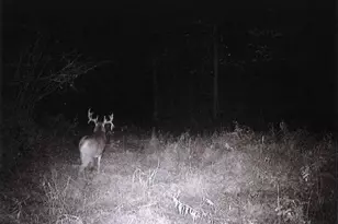 S2901 Semling Ln, Fountain City, WI 54629 - Photo 51