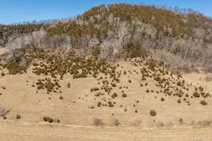 S2901 Semling Ln, Fountain City, WI 54629 - Photo 71