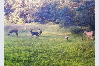 S2901 Semling Lane, Fountain City, WI 54629 - Photo 97