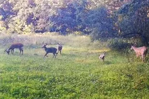 S2901 Semling Ln, Fountain City, WI 54629 - Photo 97