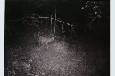 S2901 Semling Lane, Fountain City, WI 54629 - Photo 87