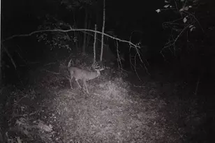 S2901 Semling Ln, Fountain City, WI 54629 - Photo 87