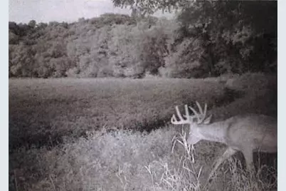 S2901 Semling Lane, Fountain City, WI 54629 - Photo 109