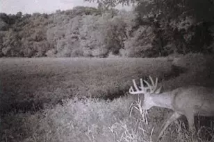 S2901 Semling Ln, Fountain City, WI 54629 - Photo 109