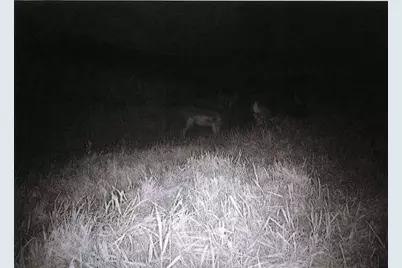 S2901 Semling Lane, Fountain City, WI 54629 - Photo 115