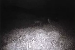 S2901 Semling Ln, Fountain City, WI 54629 - Photo 115