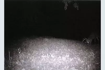 S2901 Semling Lane, Fountain City, WI 54629 - Photo 117