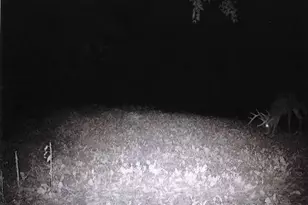 S2901 Semling Ln, Fountain City, WI 54629 - Photo 117