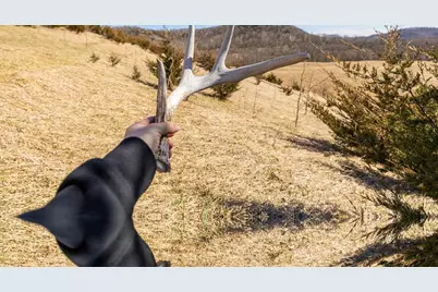 S2901 Semling Lane, Fountain City, WI 54629 - Photo 63