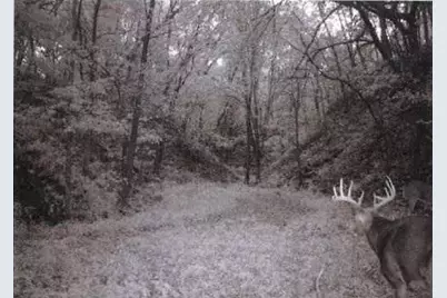 S2901 Semling Lane, Fountain City, WI 54629 - Photo 73