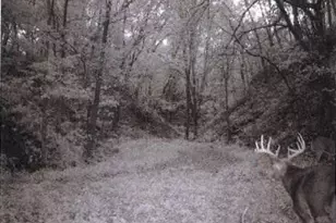 S2901 Semling Ln, Fountain City, WI 54629 - Photo 73