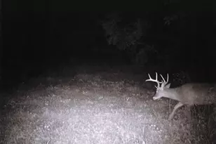 S2901 Semling Ln, Fountain City, WI 54629 - Photo 81