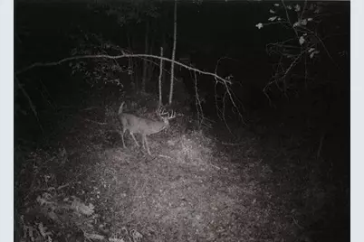 S2901 Semling Lane, Fountain City, WI 54629 - Photo 103