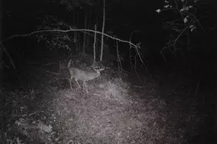 S2901 Semling Ln, Fountain City, WI 54629 - Photo 103