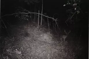 S2901 Semling Ln, Fountain City, WI 54629 - Photo 91