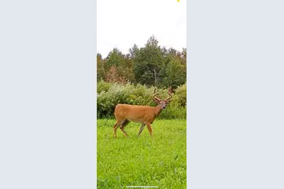 34473 County Highway 143, Bluffton, MN 56518 - Photo 47